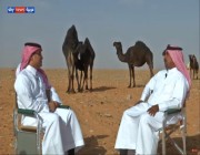 فيديو.. عبدالهادي المري: وضع ملاك الإبل في قطر قلق ويحبسون الحلال!