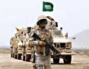 كيف ستصبح قوة الجيوش العربية إذا اتحدت بقيادة المملكة ومصر والجزائر؟