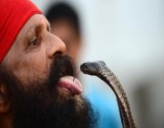 هندي ينتقم من «ثعبان» ويمزقه بأسنانه