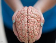 عامل صحي “واحد” يزيد شيخوخة الدماغ 10 سنوات