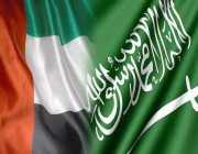 بيان سعودي – إماراتي بشأن اليمن: نواصل نصرته وحرصاء على وحدة أراضيه تحت قيادة رئيسه الشرعي