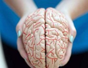 دراسة: السمنة تزيد شيخوخة الدماغ 10 سنوات