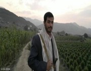 مقتل شقيق زعيم تنظيم الحوثي الإرهابي