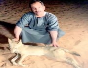 فيديو.. مواطنون يقتلون ذئباً هاجمهم أثناء نومهم في تبوك