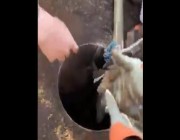 فيديو.. إنقاذ شخص سقط في بئر ارتوازية عمقها 400 متر في وادي الدواسر