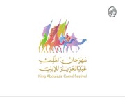 نادي الإبل يقدم 5 جوائز قيمة لجمهور مهرجان الملك عبدالعزيز