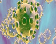 دراسة صينية تكشف السبب وراء فيروس كورونا الجديد