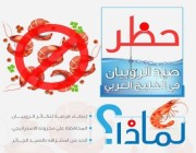 البيئة تحظر صيد الروبيان في الخليج العربي