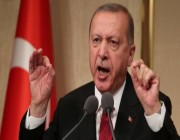 متذرعًا بكورونا.. “أردوغان” يطلق سراح رؤساء العصابات ويبقي الصحفيين بالسجون