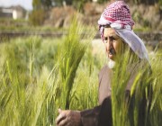 «الأمن الغذائي» السعودي يتخطى «كورونا» بسلام