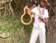 فيديو.. شاب سعودي يُلاحق ثعابين الكوبرا السامة في الباحة ويستعرض كيفية التعامل معها