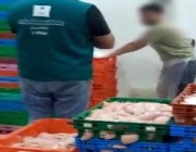 فيديو.. ضبط عمالة مخالفة تذيب الدجاج المجمد الفاسد وتبيعه على أنه مبرد بالقطيف