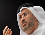 الامارات: معاهدة السلام مع إسرائيل تحول استراتيجي للعرب والخاسرون هم تجار وسماسرة القضايا السياسية
