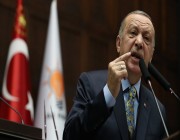 اردوغان يهدد بسحب السفير التركي وقطع العلاقات الدبلوماسية مع أبوظبي