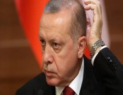 رسالة من الإمارات إلى مجلس الأمن: تركيا تزرع الفوضى