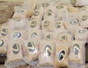 ضبط مواطن روج 10 آلاف قرص إمفيتامين بمنطقة مكة