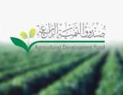 صندوق التنمية الزراعية يطرح مشروع تعديل لنظامه ويدعو المختصين والمهتمين لإبداء آرائهم