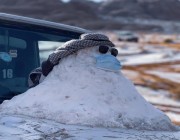 شاهد.. مواطن يبني رجلاً من الثلج في تبوك ويلزمه بـ”الكمامة”