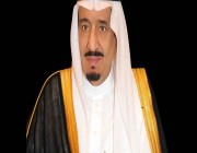 الملك سلمان يوجه بنقل التوأم السيامي اليمني يوسف وياسين إلى الرياض