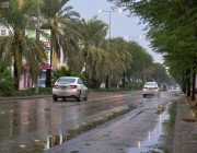 توقعات بتقلبات جوية مصحوبة بأمطار رعدية وبرد في أول أسبوع من رمضان