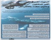 إنفوجرافيك: الحوت الأزرق أكبر الدلافين وماوي مهدد بالانقراض