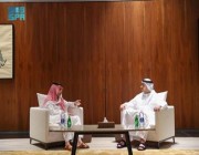 وزير الخارجية يلتقي نظيره الإماراتي ويعقدان جلسة مباحثات رسمية