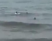 سحبته الأمواج بعيدا عن الشاطئ .. فيديو يرصد لحظة إنقاذ شاب لطفل من الغرق في بيش (فيديو)