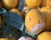 ضبط 3.5 طن من البرتقال والليمون الفاسد قبل توزيعها بالدمام