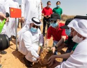 السفير الصيني يدعم مبادرة “السعودية الخضراء” بالمشاركة في حملة التشجير بحريملاء (صور)