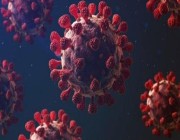 باحث فيروسات يوضح حقيقة وجود تدخل بشري في ظهور فيروس “كورونا” (فيديو)
