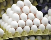 “الغذاء والدواء” تستطلع الرأي في مشروع تعديل فترة صلاحية “بيض المائدة”