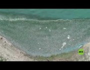 أطنان من الأسماك النافقة في بحيرة القرعون اللبنانية