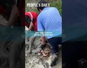 إنقاذ رجل مسن سقط في الوحل بالصين