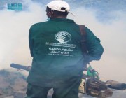 اجماعي / مركز الملك سلمان للإغاثة يواصل تنفيذ حملة الرش الضبابي لمكافحة نواقل الأمراض في محافظة عدن