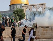 الدول العربية تدين الاعتداء على الفلسطينيين وتطالب بتحرك عاجل لوقف الجرائم الإسرائيلية