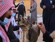 السعوديون والصقور.. على خُطا الأجداد في الوفاء لشريك الحياة البدوية