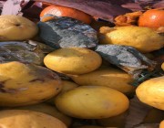 ضبط أكثر من ثلاثة أطنان برتقال وليمون فاسد قبل توزيعهم في الدمام