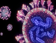 علماء “كاوست” يطورون نظاماً لرصد وتعقب طفرات فيروس “كورونا”