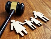 مستشار قانوني يوضح أنواع القضايا الأسرية والفارق بينها وبين الجنائية (فيديو)
