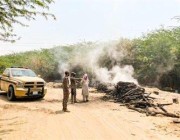 ضبط 3 مخالفين لنظام البيئة لقيامهم بقطع الأشجار وتحويلها إلى فحم بمنطقة مكة المكرمة