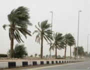 الحصيني: أمطار متفاوتة ورياح قوية على بعض المناطق