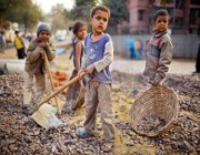 البرلمان العربي يدعو إلى وضع إستراتيجية عربية موحدة لمكافحة عمل الأطفال