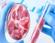 طبيب تغذية يوضح ما هي اللحوم المصنّعة في المختبرات وما يميزها عن الطبيعية (فيديو)