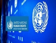 المفوضية السامية لحقوق الإنسان تعرب عن قلقها من هجمات الحوثيين ضد المدنيين