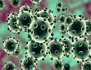 دراسة حديثة: العدوى السابقة لـ “كورونا” لا تحمي من الإصابة بالأنواع المتحورة