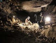 صور .. اكتشاف جديد في كهف أم جرسان يعود إلى ما قبل 7 آلاف سنة