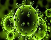الصين : التوصل لمنشأ فيروس كورونا سيستغرق عقود .. وتسرب المعمل “إشاعة”