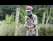 امرأة تنجح في الإمساك بثعبان ضخم في ماليزيا
