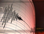زلزال يضرب شمال باكستان بقوة 4.4 درجات