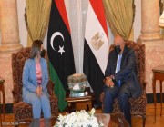 وزيرا خارجية مصر وليبيا يتفقان على ضرورة إخراج المرتزقة